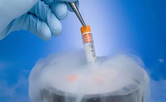 武汉协和医院试管婴儿成功率高吗?规避风险就得这么