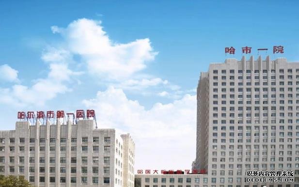 龙凤胎、双胞胎女儿、双胞胎儿子，让你更有选择性的生育