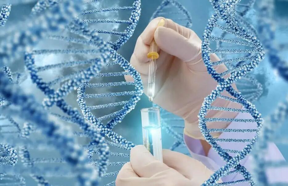 31岁做试管婴儿多少钱?试管婴儿的钱花在哪里一