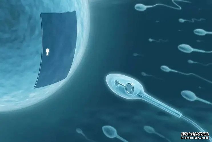 卵巢脓肿吃什么药,卵巢囊肿其实是可以治愈的