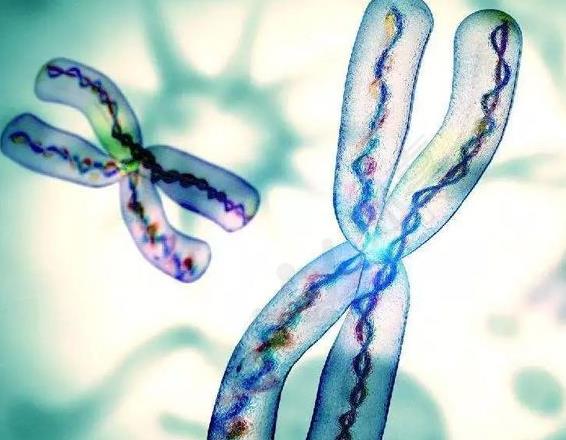 延安试管婴儿 延安三代试管做一次就可以了？不孕症只能做试管？ ‘唐筛数据看男女准确率高吗?’