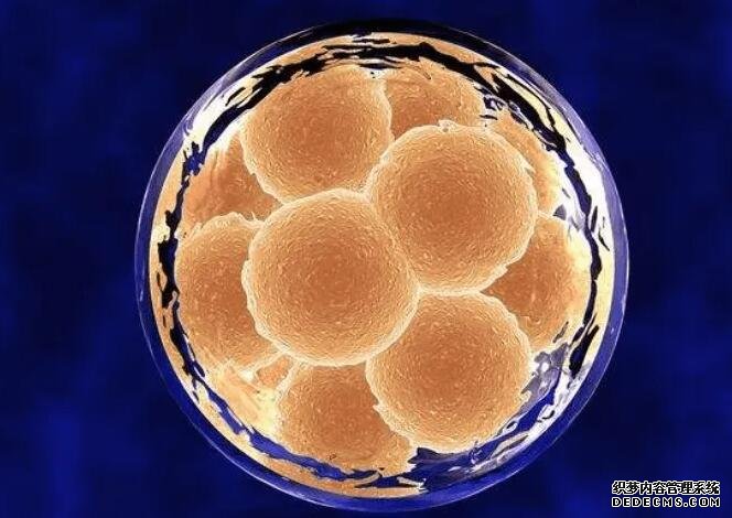 2023桂林捐卵试管医院排名公布！附各大医院卵源等待时间