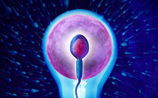 娄底中心医院做试管成功率高吗 2022娄底试管婴儿医院排行榜，试管助孕造娃劝你最好来看看 ‘如何从四个月的b超单上看男孩女孩’