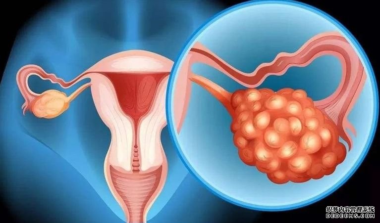 重庆借卵子生子成功率是多少 2022重庆供卵三代试管婴儿多少钱，附试管医院及供卵费用明细清单 ‘怀男孩和女孩的初期症状’