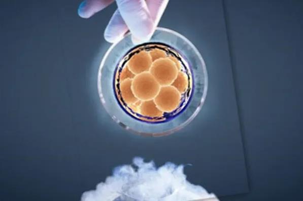 洛阳供卵试管 洛阳哪里能做试管婴儿 ‘四维彩超时怎么看男女视频’