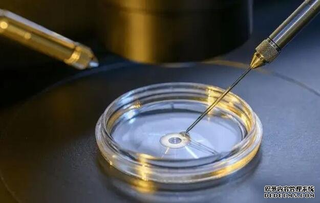 南京供卵试管经验 南京妇幼保健院供精试管婴儿成功率 ‘孕6个月男胎四维图’