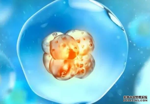 杭州代孕那个最权威 杭州生育津贴什么时候恢复正常？ ‘偏男孩的b超单’