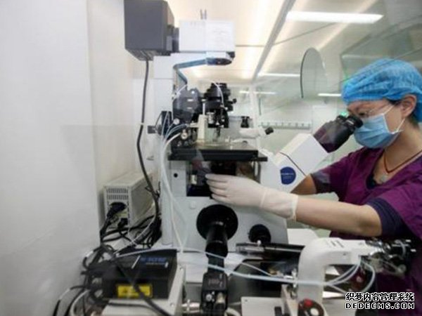 沈阳失独家庭补助政策 沈阳供卵试管费用多少，2022辽宁供(借)卵试管婴儿费用预估 ‘酒精测试尿液是男孩女孩准确吗’