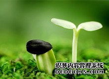 输卵管粘连未处理怀孕后宫内孕的几率大吗？_11543