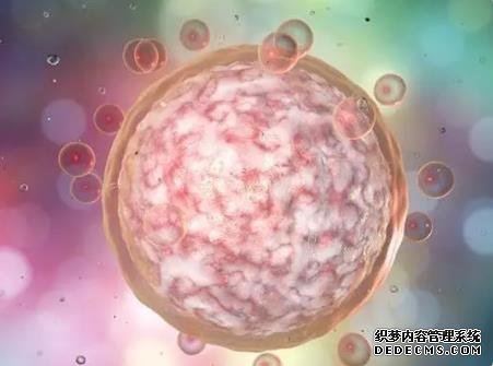 南昌代代孕网有做过吗 南昌可以做试管婴儿有哪些医院?这些医院实力超好 ‘三维彩超单怎么看男女?’