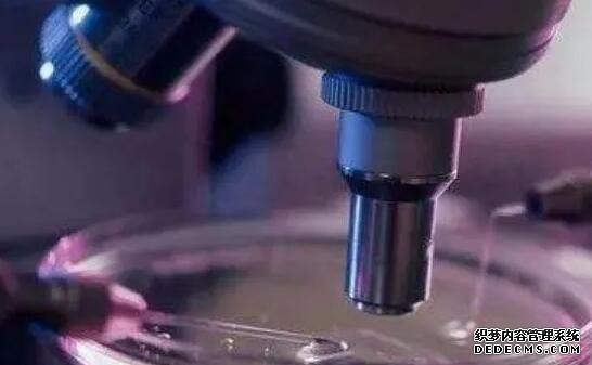 杭州供卵试管资讯 唐筛高风险可以去杭州的哪些医院做羊穿？ ‘b超31周能看出男女吗’