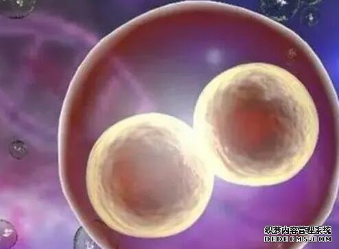 郑州代生的价钱 郑州三附院试管医生解答试管婴儿问题这些情况早知道 ‘9个怀女孩征兆’