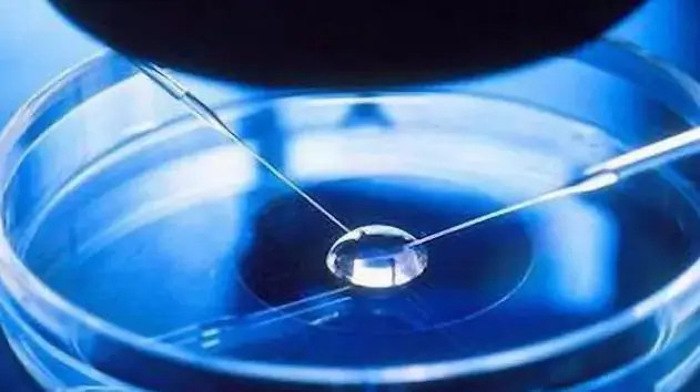 北京试管排名 北京哪个医院能做供卵试管婴儿? ‘孕囊26*27*10像男孩女孩’