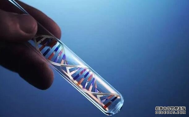 2022厦门助孕 2022厦门子宫内膜异位症试管费用一览 ‘完全性前置胎盘影响b超看男女吗’