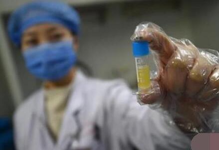 北京 供卵试管 2023北京家圆医院试管婴儿成功率一览 ‘31周b超可以看到男宝宝的睾丸吗’