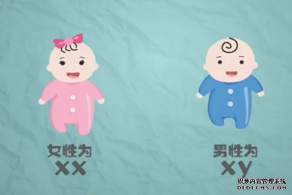 石家庄代孕手术费用 石家庄私人试管医院,做试管没做好这些准备可不行! ‘3个月彩超怎么看男孩女孩三个月的彩超’