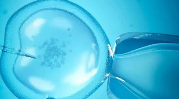 南通供卵试管 南通供卵试管费用参考 ‘孕囊10周测男女’