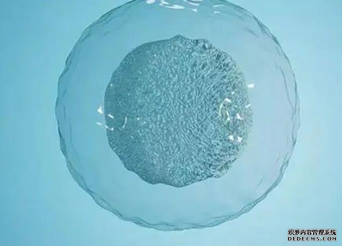 2023宜春借卵试管医院排名公布!附各大医院卵源等待时间