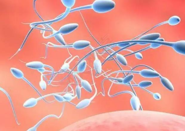 在山西做试管婴儿需要注意哪些问题？,山西三附院试管医生解答试管婴儿问题这些情况早知