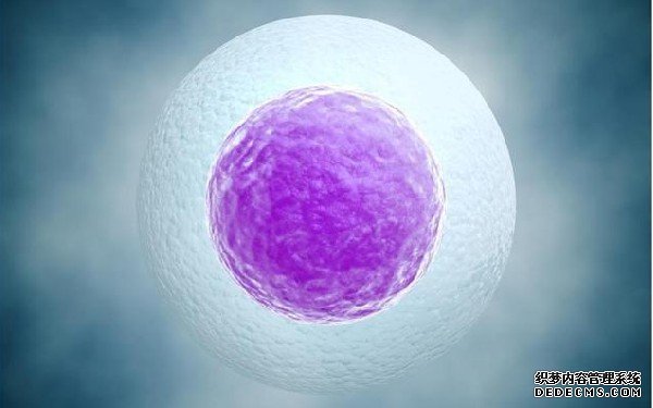 浙江东阳,哪个医院可以做亲子鉴定 东阳人民医院王飞凤医生做试管成功率怎么样? ‘阴道彩超孕囊数据分男女’