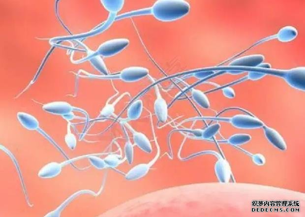 移植之后身体状况可能会发生不少变化，不一定是出现了疾病