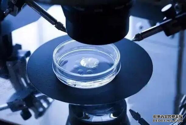 俄罗斯三代试管生儿子费用因人而异,大致在2万美元左右