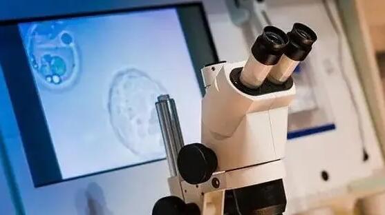 保定私立试管 保定做试管婴儿最好的医院，2023保定试管助孕医院排行榜 ‘怀女孩的初期特征最准’