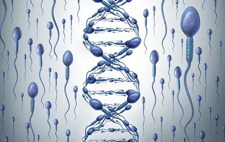 北京做试管花费 北京三院三代试管婴儿多少钱?北京三院做三代试管婴儿费用会贵吗? ‘唐筛可以预测男孩女孩吗’