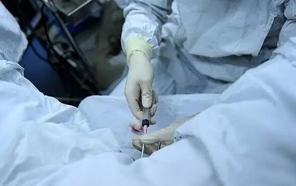 山东三代试管 山东人工授精排名可以当做参考吗? ‘胎儿脊柱三维成像看男女’