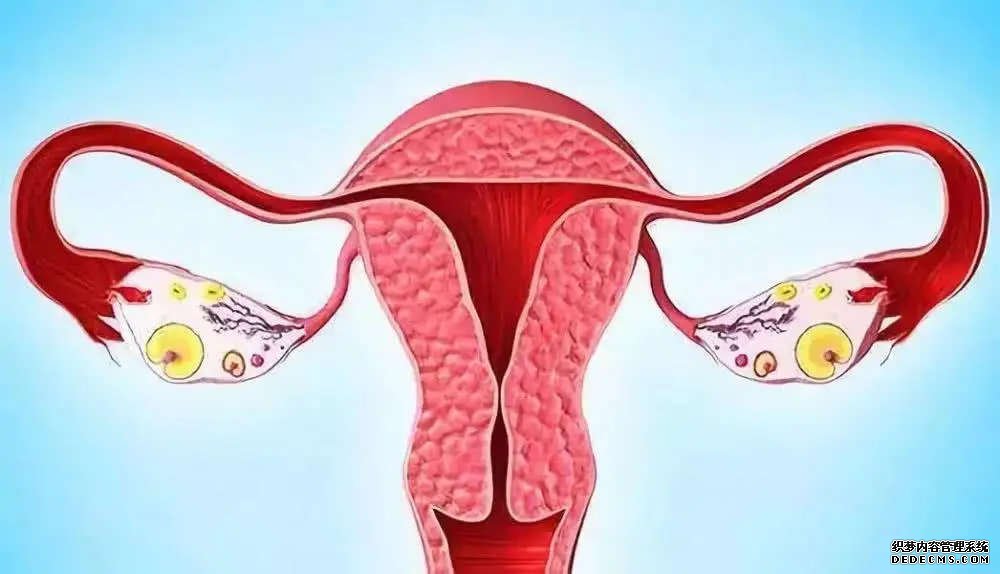 江苏找代怀 江苏育儿假有哪些新规? ‘营口伊人26周四维看男女准么’