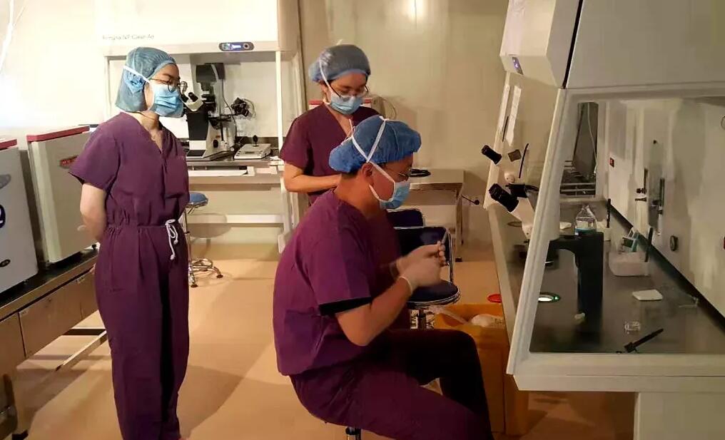 浙江供卵试管 浙江试管婴儿排名最好的成功率有多少? ‘nt看男孩子女孩’