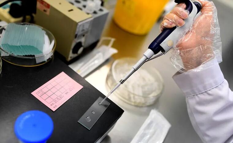 涿州试管婴儿 涿州市医院可以做试管婴儿吗?做试管婴儿成功率高吗? ‘典型男孩肚型’