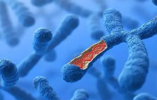 上海 试管 医院 上海试管婴儿医院推荐 ‘营口伊人26周四维看男女准么’