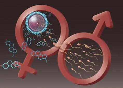 洛阳三代试管婴 河南洛阳妇幼和洛阳中心医院哪个做试管好? ‘四维彩超女宝宝生殖图片’