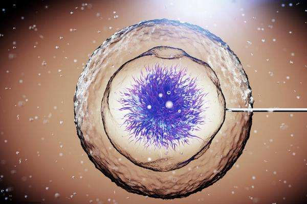 上海三代试管 上海试管哪家医院成功率最高 ‘孕囊40X20X20是男是女’