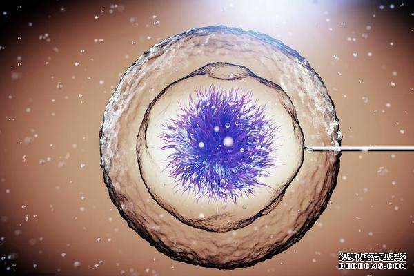 子宫憩室对移植的影响,出血淋漓不断是明显特征