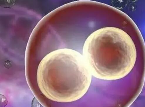 徐州试管供卵 徐州妇幼试管和南京哪个好？哪个城市做试管婴儿好？ ‘怀男宝女宝的肚型对比’