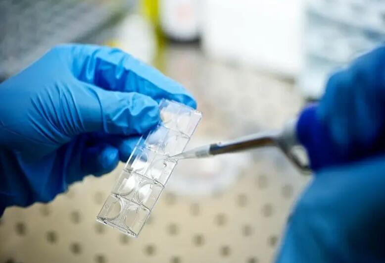 试管婴儿打夜针是怎么回事？