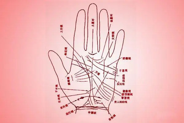 成都做试管费用 2023年成都人工授精哪家医院好? ‘营口伊人26周四维看男女准么’