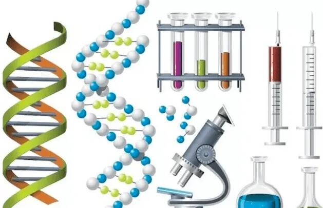 南宁供卵试管 南宁哪个医院试管成功率高？判断成功率高不高看这些 ‘做彩超看出来男孩女孩’