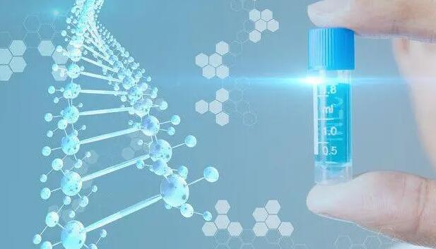 铜陵试管供卵 铜陵市妇幼保健院生殖科做试管婴儿怎么样？ ‘怀孕nt值1.6毫米是男孩还是女孩’