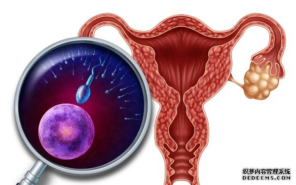 温州试管供卵流程 医院推荐|温州建国医院 ‘怎么通过彩超看是男孩还是女孩’