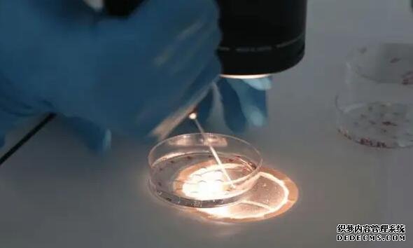 南京捐卵地址 南京鼓楼生殖中心医生口碑 ‘什么症状能分辨怀的是女孩子’