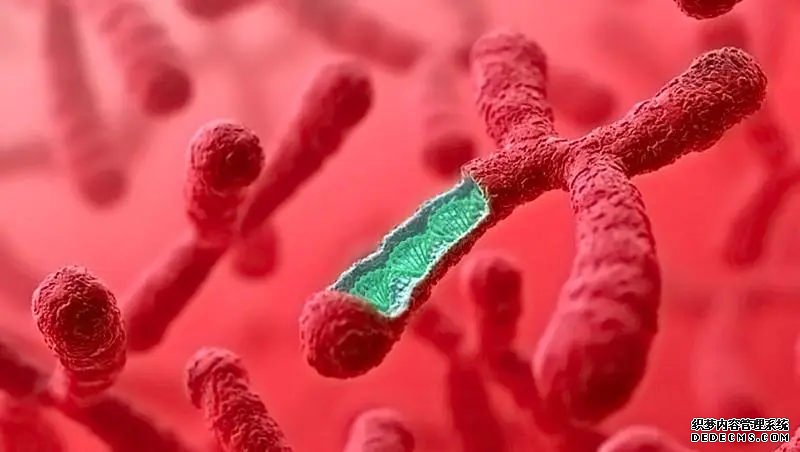 详解人工周期移植技术，一种全新的辅助生殖技术