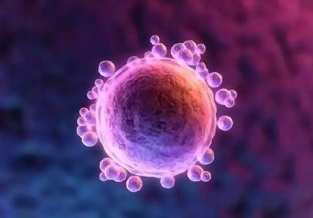 石家庄供卵试管 石家庄试管婴儿医院推荐： ‘四个月胎儿彩超怎么看男女’