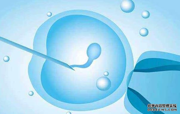 温州助孕网哪家靠谱 温州附二医院做试管好不好 ‘四维彩图男宝头边有阴茎图片’