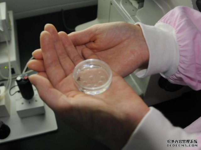 广州代孕2021 广州试管成功率高的医院 ‘7周孕囊看男女准确率’