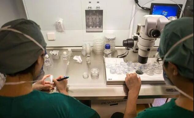 黄石试管医院 最新黄石试管婴儿医院排名 ‘20周通过b超看有一点点突起是男是女’