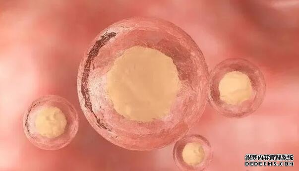 “春捂”的正确打开方式是？孕妇安全度过是首要的关键！