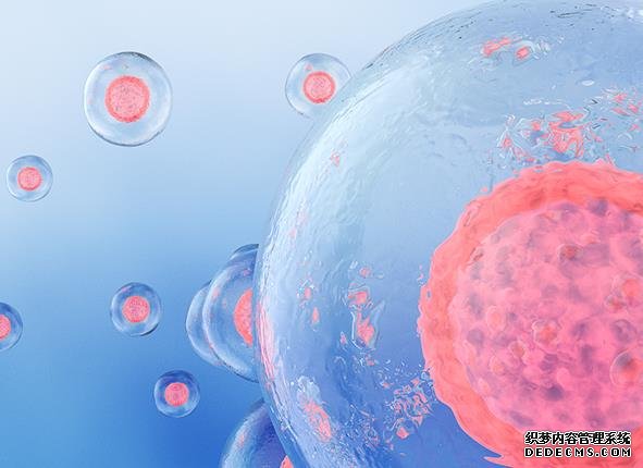 南京生殖知识 南京鼓楼试管费用明细 ‘做b超查是男孩准吗’